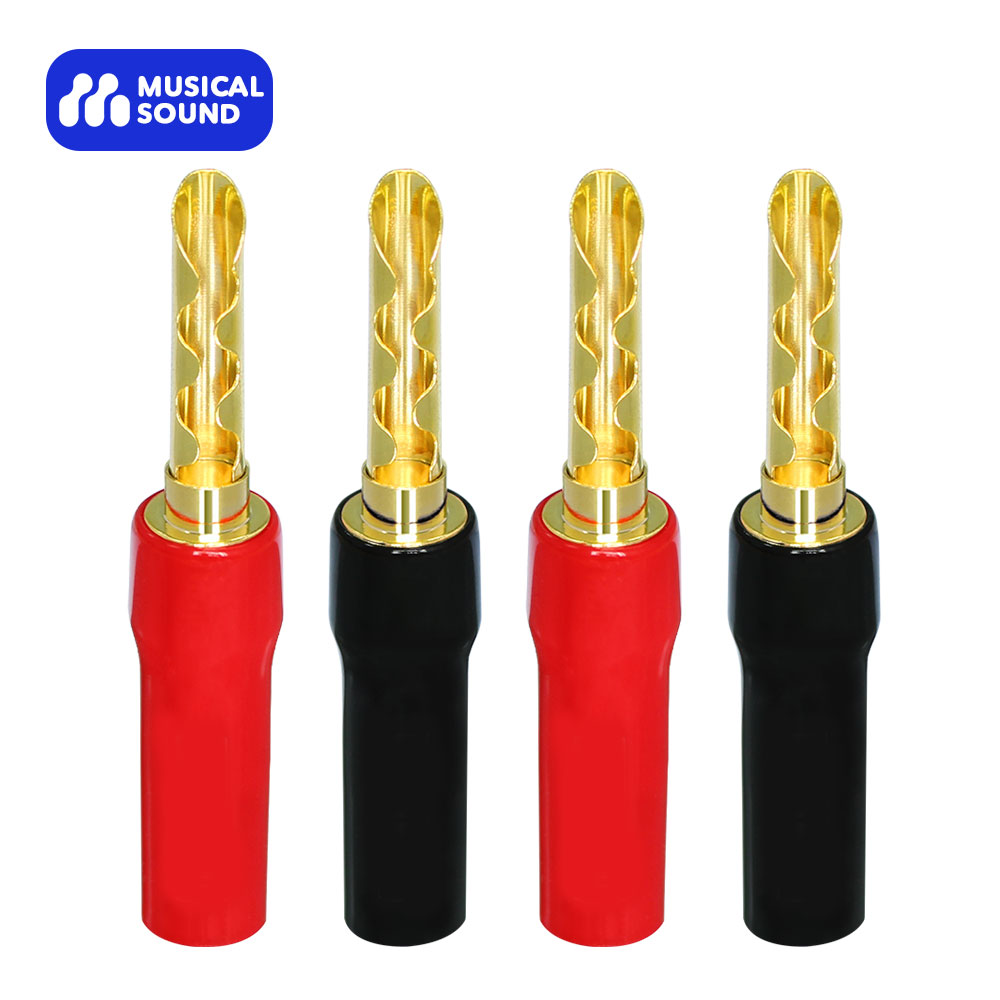Musical Instrument Amplifier - Spine a Banana Audio musicale per