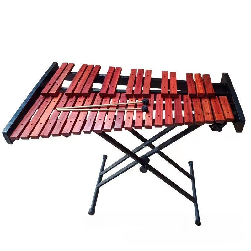 37 toni xilofono metallo bambi - Musical Instrument Glockenspiel recensione e prezzo