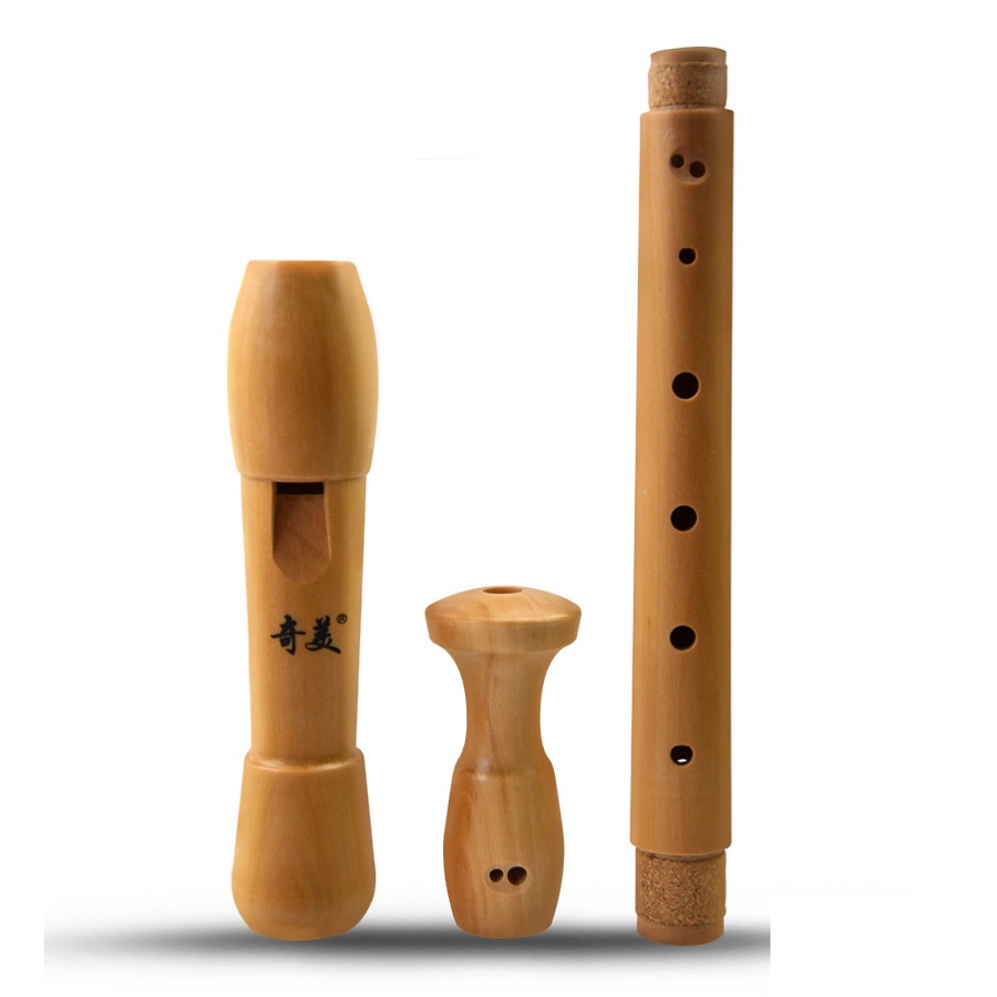 Qimei 8 fori registratore cont - Musical Instrument German recensione e prezzo