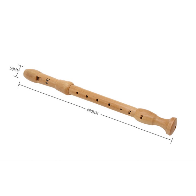 Qimei 8 fori registratore cont - Musical Instrument German recensione e prezzo