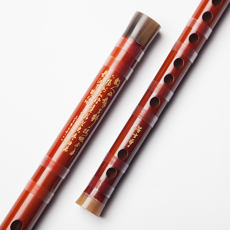 Dong Xuehua 8885 Flauto di bam - Musical Instrument Sign recensione e prezzo