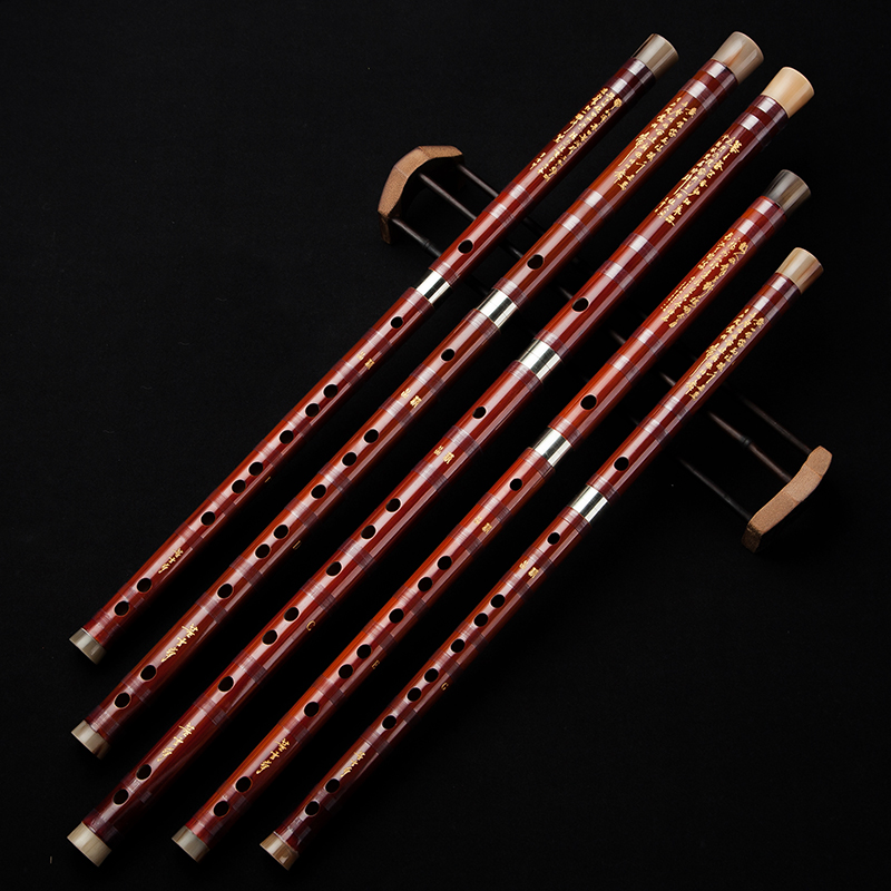 Dong Xuehua 8885 Flauto di bam - Musical Instrument Sign recensione e prezzo
