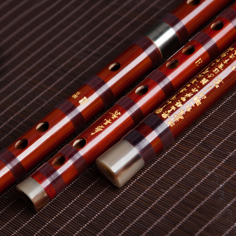 Dong Xuehua 8885 Flauto di bam - Musical Instrument Sign recensione e prezzo